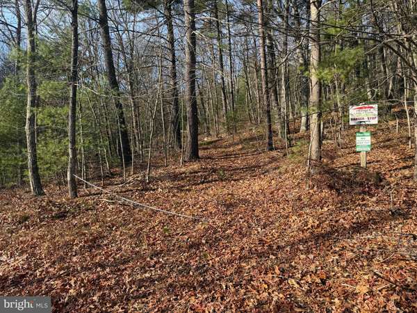 Capon Bridge, WV 26711,5/6 EDWARDS RUN RD