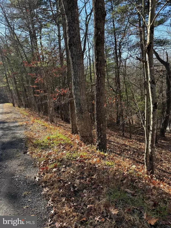 Mt Jackson, VA 22842,SUSAN RD