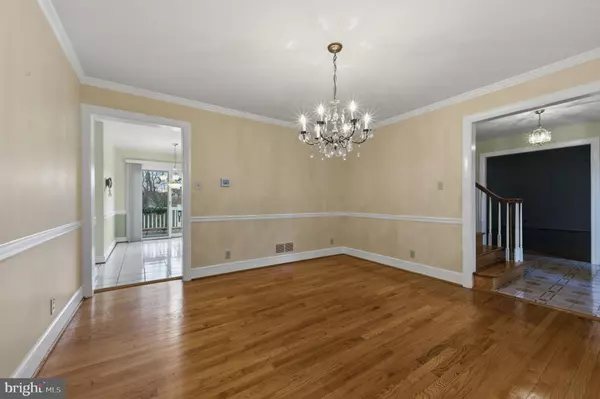 Newark, DE 19711,24 HAILEYS TRL