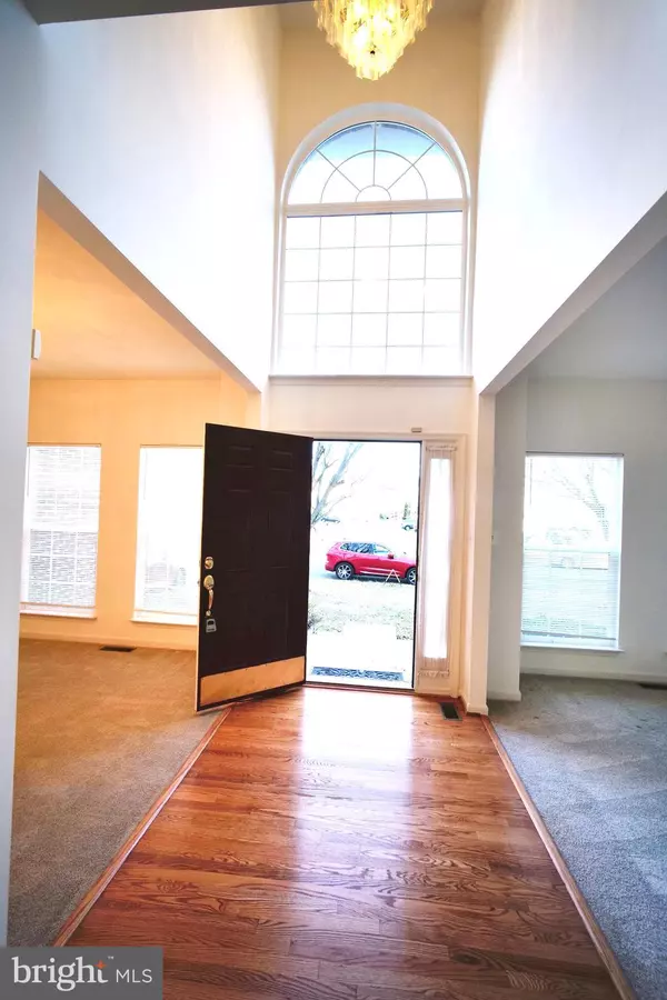 Ashburn, VA 20147,20203 HOPI DR