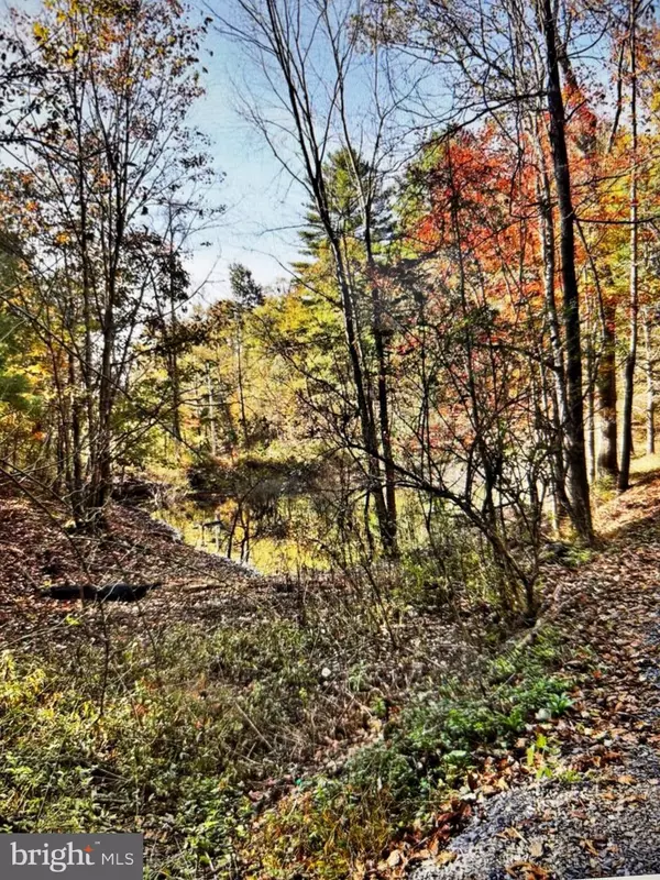 Berkeley Springs, WV 25411,240 JEWEL LN