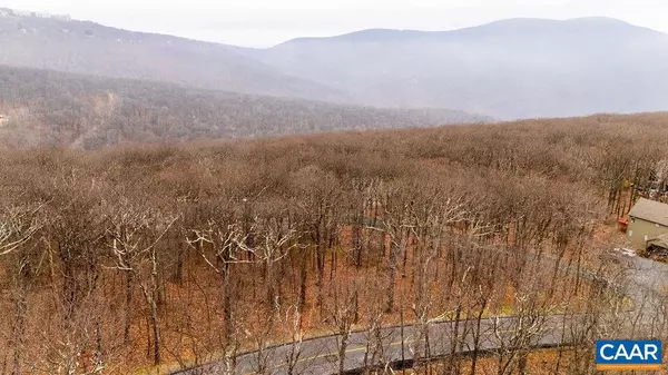 Wintergreen Resort, VA 22967,23 NORTH ROCK TREE LN #125 PEDLARS EDGE SUB