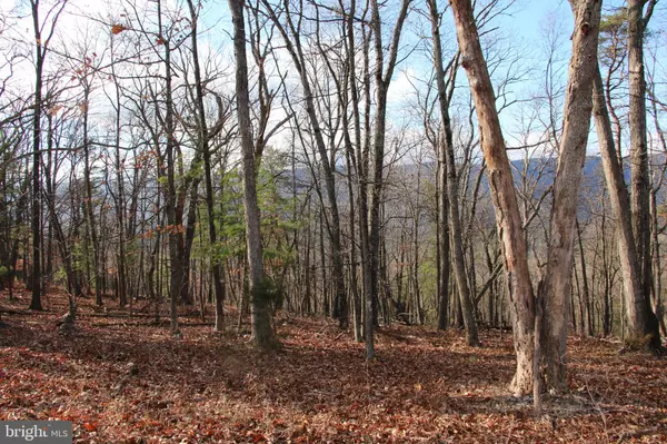 Mount Jackson, VA 22842,SUPINLICK RIDGE RD