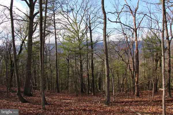 SUPINLICK RIDGE RD, Mount Jackson, VA 22842