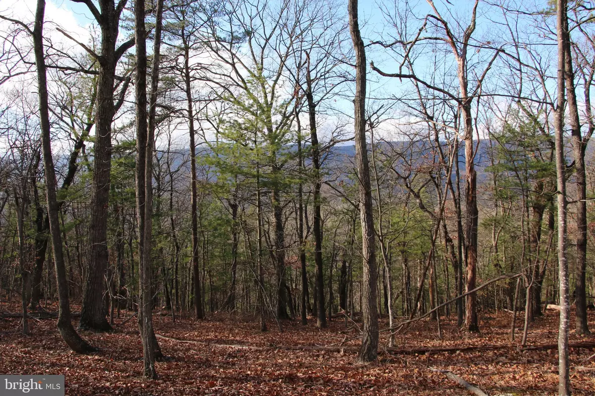 Mount Jackson, VA 22842,SUPINLICK RIDGE RD