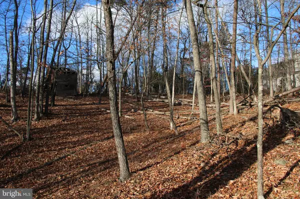 Mount Jackson, VA 22842,0 SUPINLICK RIDGE RD