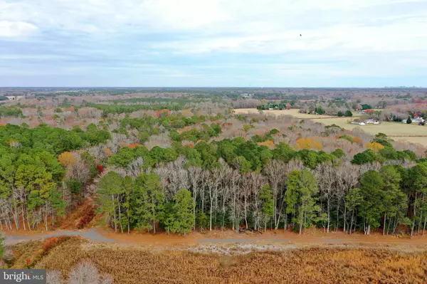 Berlin, MD 21811,PARCEL #169 GEORGETOWN RD