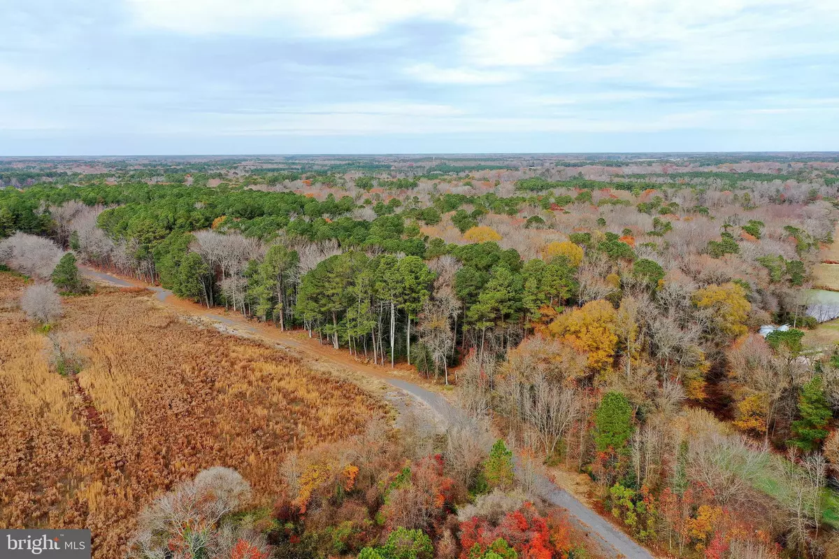 Berlin, MD 21811,PARCEL #169 GEORGETOWN RD