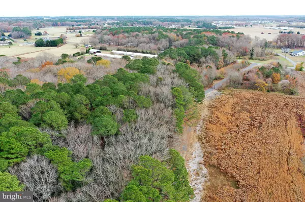 Berlin, MD 21811,PARCEL #169 GEORGETOWN RD