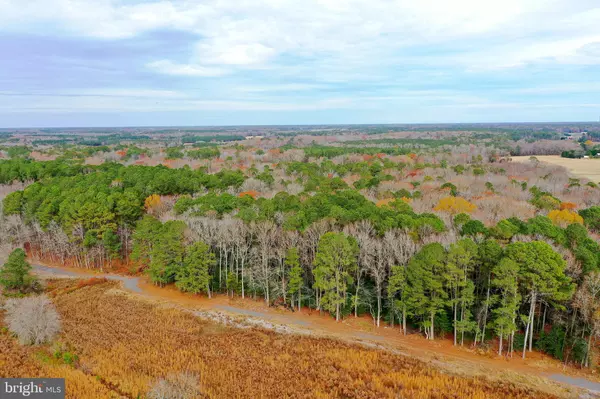 Berlin, MD 21811,PARCEL #169 GEORGETOWN RD