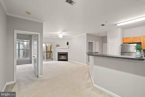 Centreville, VA 20120,13363-I CONNOR DR #I