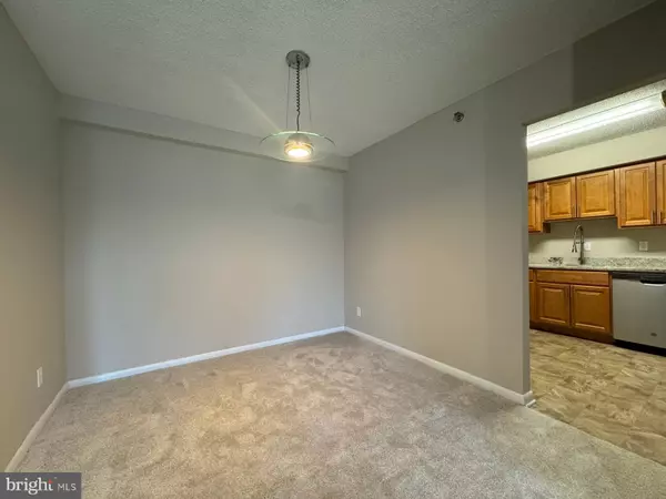 Hyattsville, MD 20783,9200 EDWARDS WAY #310