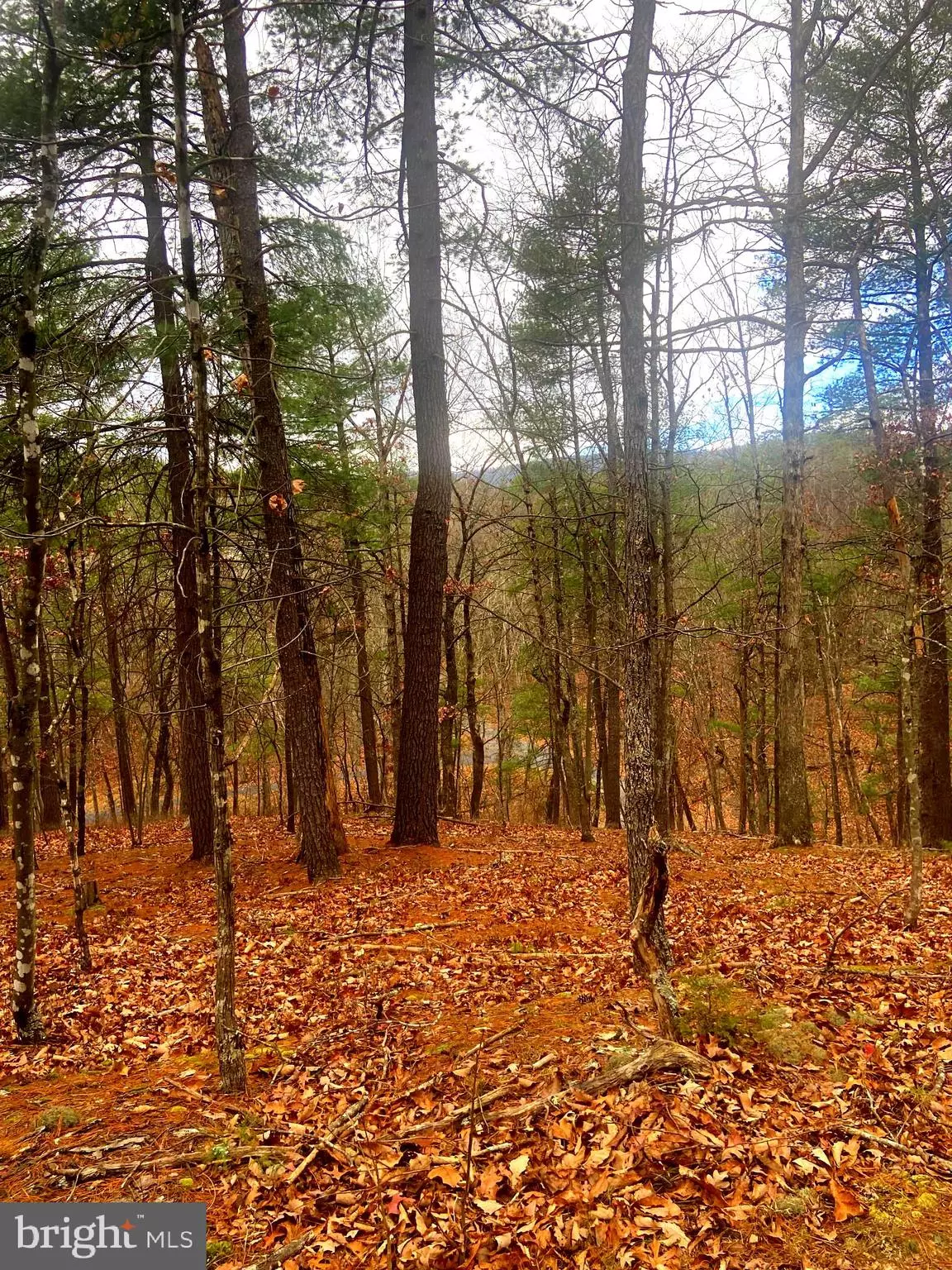 Basye, VA 22810,KING ST.