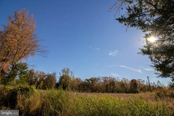 Alton, VA 24520,TBD PINEY GROVE ROAD #21