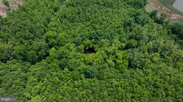 Alton, VA 24520,TBD PINEY GROVE ROAD #21