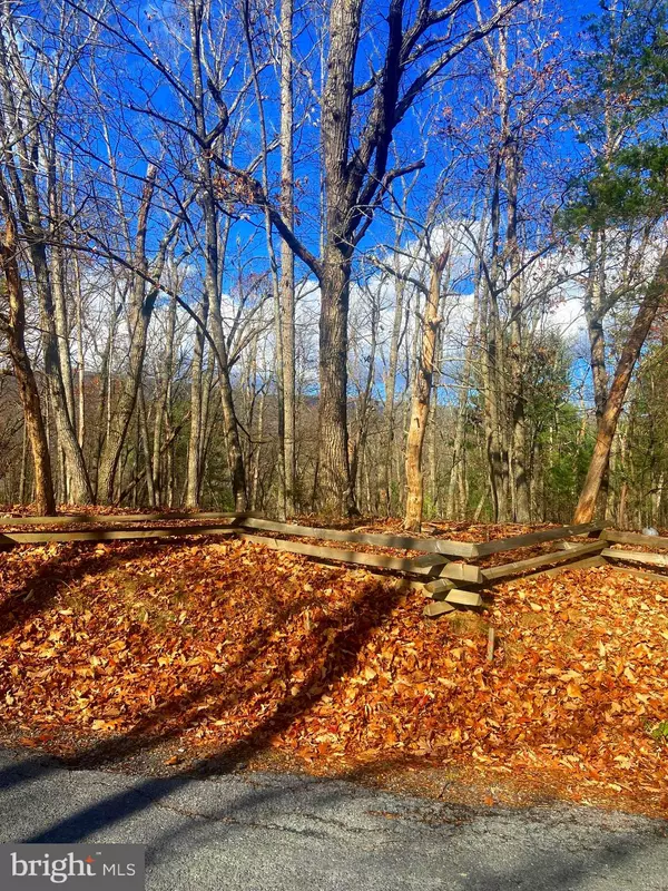 Basye, VA 22810,SPITZ LN