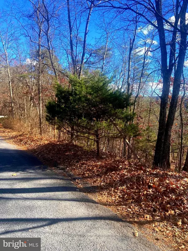 Basye, VA 22810,SPITZ LN