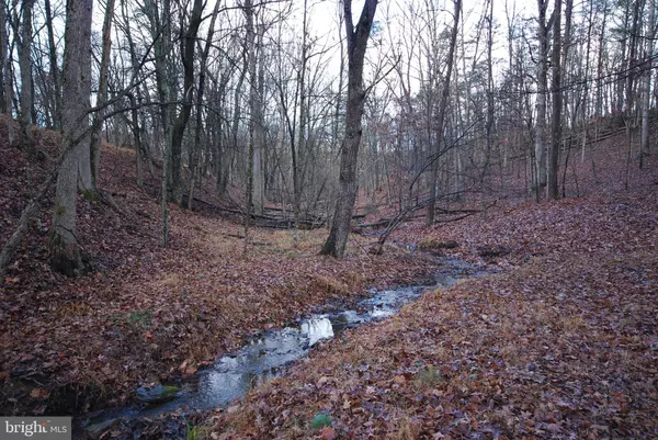 Romney, WV 26757,LOT 29 & 30 STAUBWOODS DR