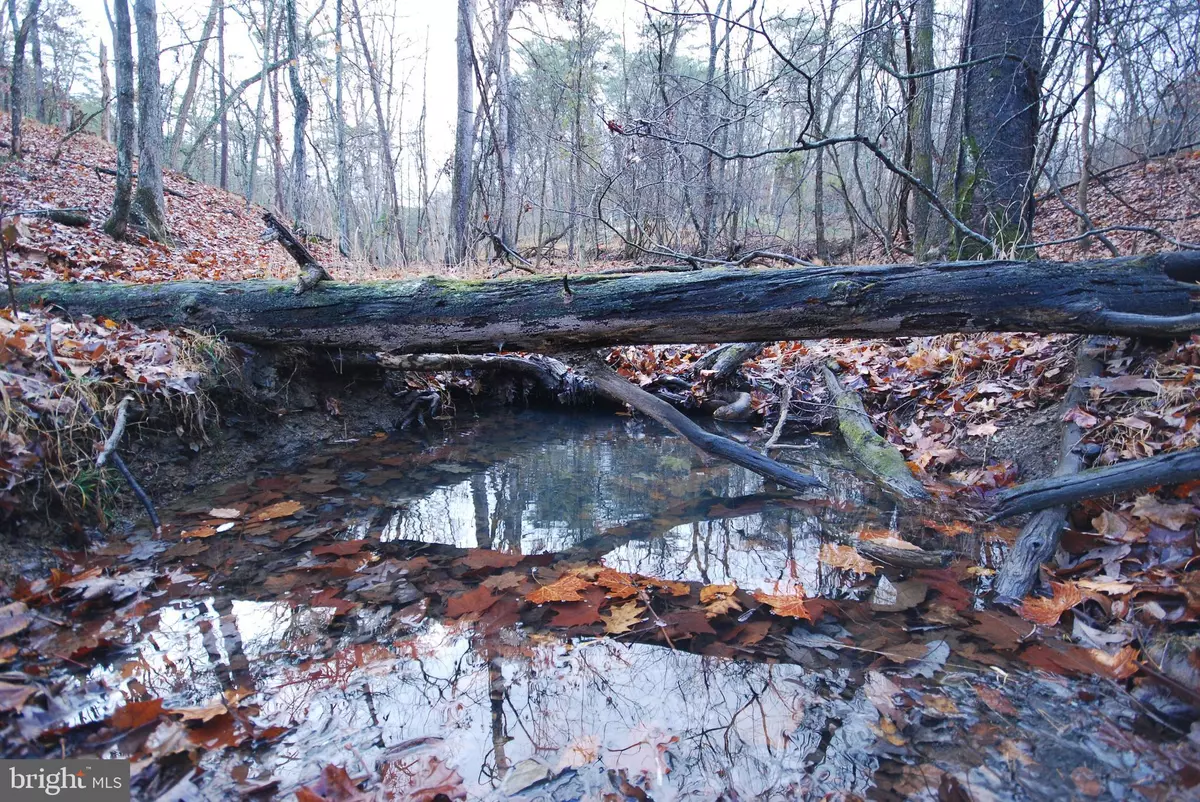 Romney, WV 26757,LOT 29 & 30 STAUBWOODS DR