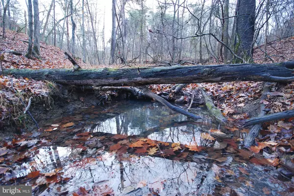 LOT 29 & 30 STAUBWOODS DR, Romney, WV 26757