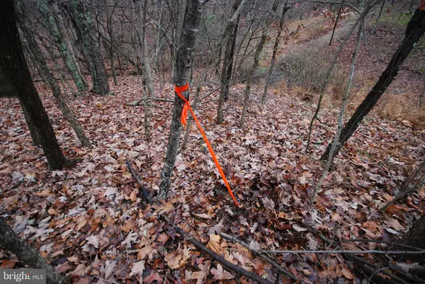 Romney, WV 26757,LOT 29 & 30 STAUBWOODS DR