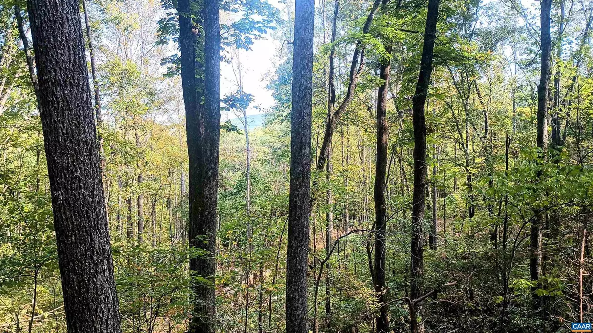 Shipman, VA 22971,15 DEER RUN LN