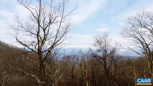 Wintergreen Resort, VA 22967,63 GUMTREE RD #108 LAUREL RIDGE