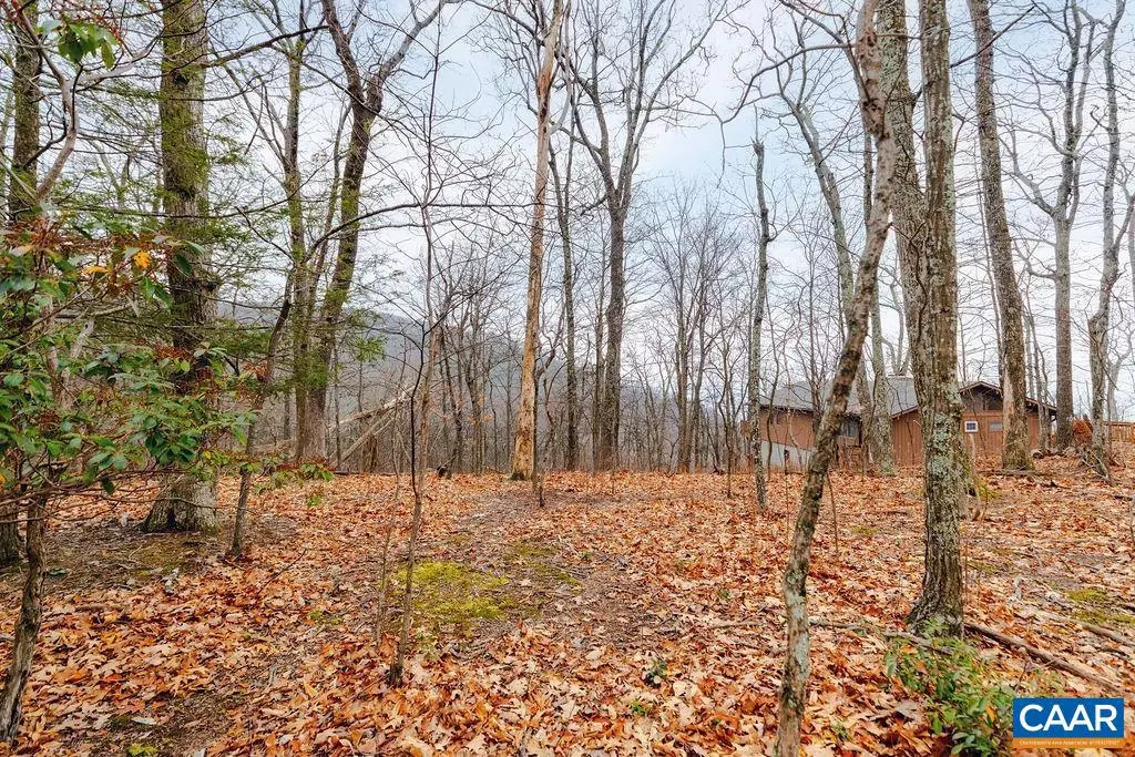 Wintergreen Resort, VA 22967,63 GUMTREE RD #108 LAUREL RIDGE