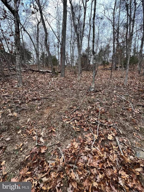 Basye, VA 22810,0 HAMPTON ST