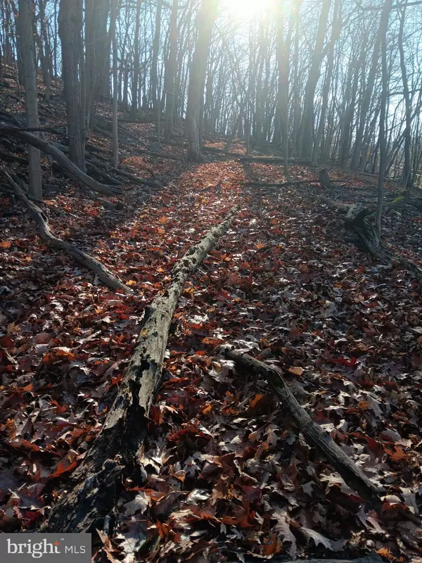 GRAY AVE, Cumberland, MD 21502