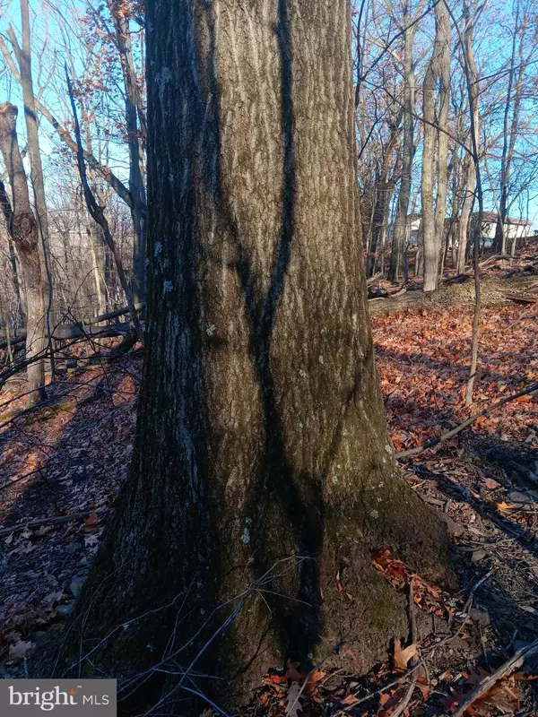 Cumberland, MD 21502,GRAY AVE