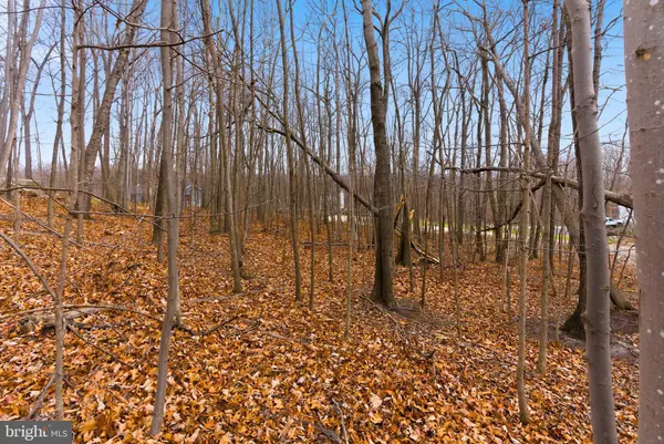 Winchester, VA 22602,CARDINAL DR