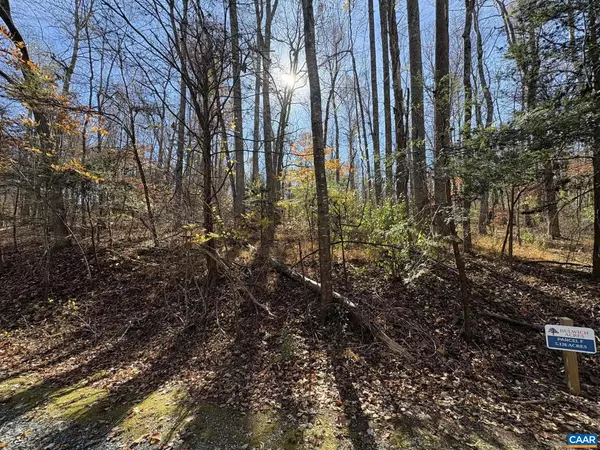 Amherst, VA 24521,PARCEL F DULWICH DR #PARCEL F