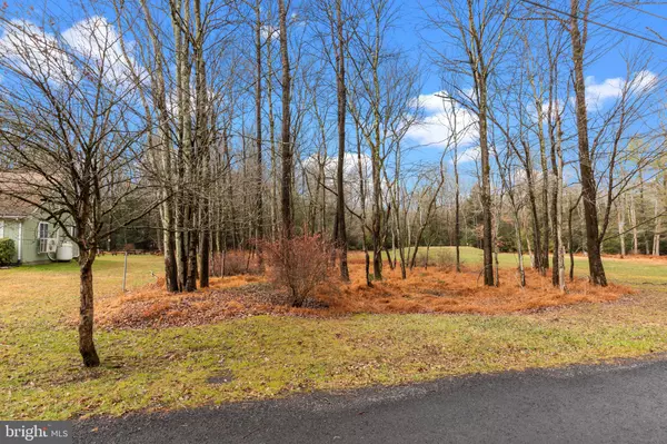 Albrightsville, PA 18210,17 NAVAJO TRL