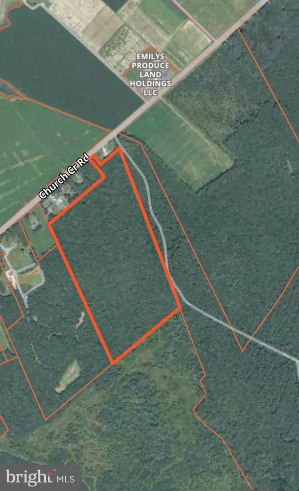 SIKA, WHITETAIL & TURKEY CHURCH CREEK RD, Cambridge, MD 21613