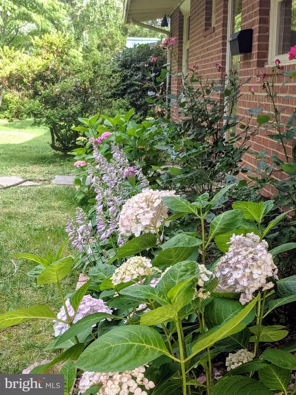 Mclean, VA 22101,6519 BYRNES DR