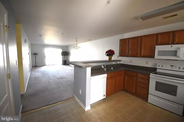 Millsboro, DE 19966,5202 CAITLINS WAY