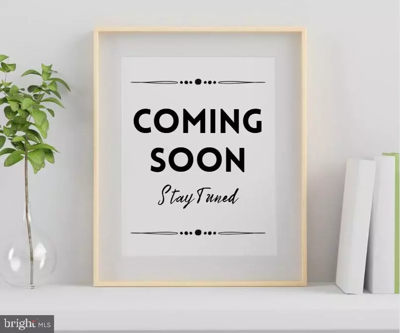 Easton, MD 21601,29487 HEMLOCK LN