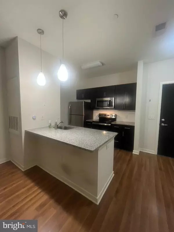 Philadelphia, PA 19106,401 RACE ST #129