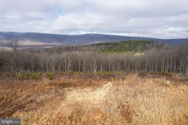 Winchester, VA 22602,BACK MOUNTAIN ROAD, LOT 11