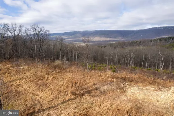 Winchester, VA 22602,BACK MOUNTAIN ROAD, LOT 11
