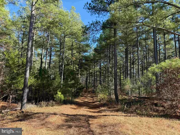 OFF OF DIANA MILL ROAD (TRACT: C43 TANAGER ET2 202, Arvonia, VA 23004