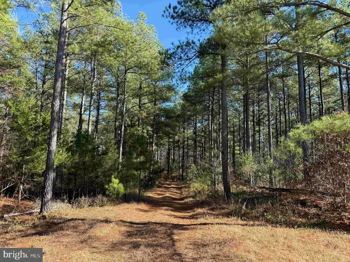 Arvonia, VA 23004,OFF OF DIANA MILL ROAD (TRACT: TANAGER ET2 2023