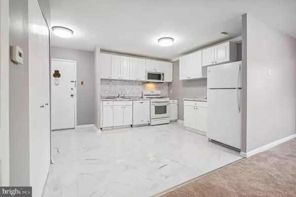 19423 BRASSIE PL #201, Montgomery Village, MD 20886