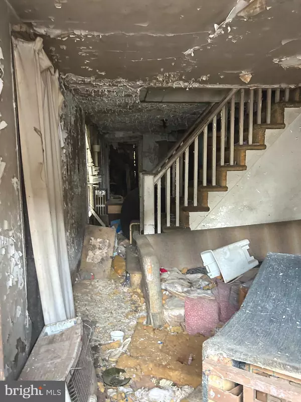 Philadelphia, PA 19144,217 E ASHMEAD ST