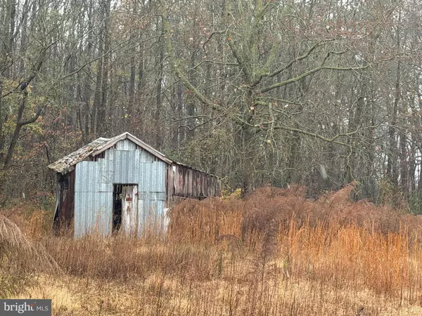 Millsboro, DE 19966,36288 PEAR TREE RD