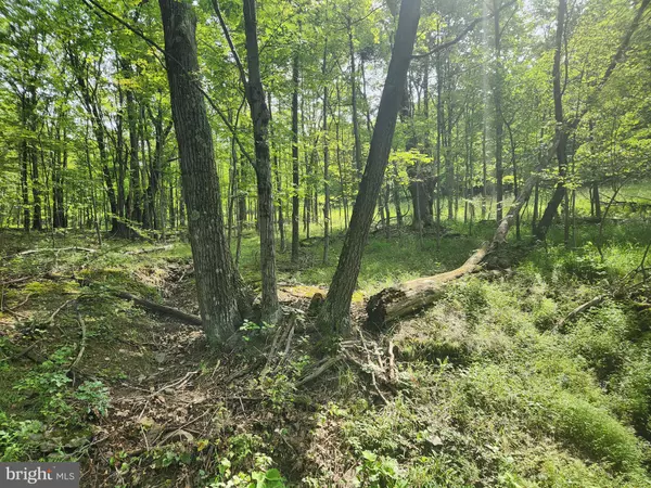 Alum Bank, PA 15521,OFF THOMAS RD