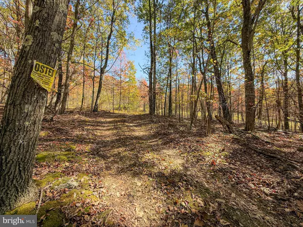 Alum Bank, PA 15521,ADJ 157 THOMAS RD