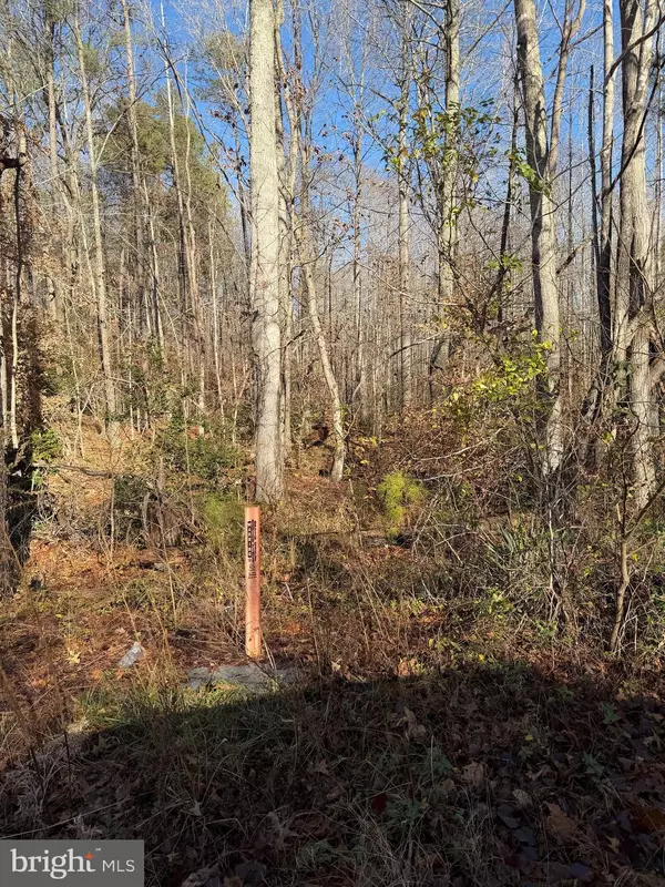King George, VA 22485,LOT 2 B TURKEY ACRES RD