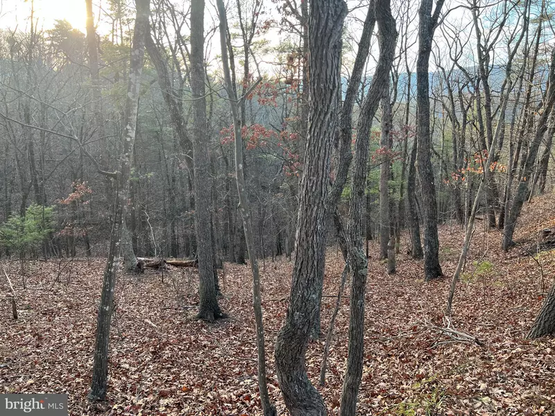 0 STRATON, Basye, VA 22810